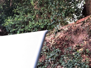 Blonde MILF with Big Boobs Playing Cam Free Porn